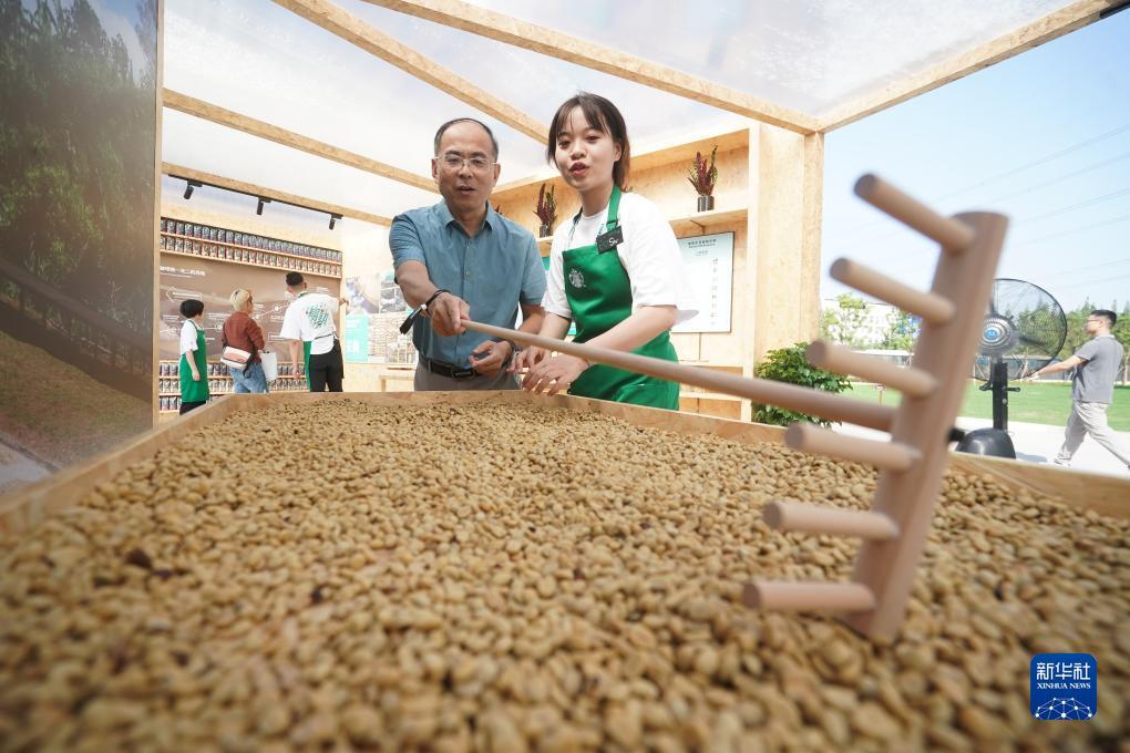 免费炸三张金花游戏